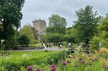 Private Guided Shore Excursions from Cobh - LUXURY Line MPV XL