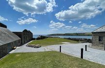 Private Guided Shore Excursions from Cobh - LUXURY Line MPV XL