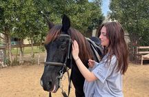 Explore Cairo on horseback