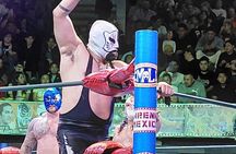 Pulque Tasting and Mexican Wrestling: Premium Small Group Tour