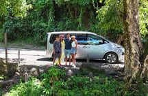 Explore Tahiti in depth in a day