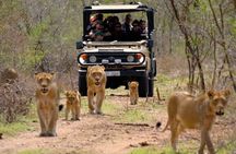 Tala Game Reserve Natal Lion Park & Phezulu Safari from Durban 