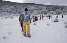 Explore Snow Full Adventure