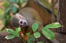 Monkey Encounter Admission Ticket - Punta Cana