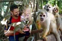 Monkey Encounter Admission Ticket - Punta Cana