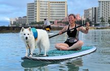 Paddle board Ala Moana with Rescue Dogs