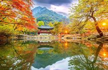 Naejangsan National Park Autumn Foliage One Day Tour from Seoul