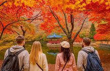Naejangsan National Park Autumn Foliage One Day Tour from Busan