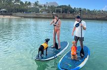 Paddle board Ala Moana with Rescue Dogs