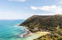 Small-Group Great Ocean Road, 12 Apostles & Dingo Wildlife Tour