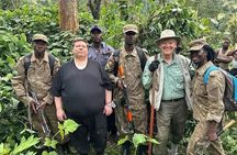 3-Day Private Guided Gorilla Trekking In Uganda 
