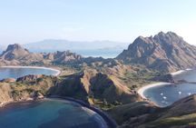 Daily Komodo Shared Speedboat Tour from Labuan Bajo