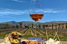From the Border Valle de Guadalupe Private Wine Tour