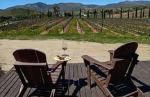 From the Border Valle de Guadalupe Private Wine Tour