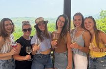 Vineyards in Spring Milan’s Perfect Wine Tasting & Lunch 