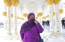 Private Abu Dhabi Half Day Aladdin Tour: Souks, Mosque, & Ferrari