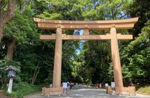Tokyo Pop Culture & Tradition Tour: Meiji Shrine to Harajuku