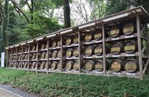 Tokyo Pop Culture & Tradition Tour: Meiji Shrine to Harajuku