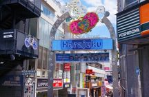 Tokyo Pop Culture & Tradition Tour: Meiji Shrine to Harajuku