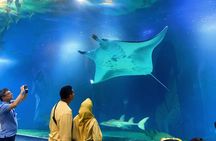 Tokyo Night E-Bike Tour with Tokyo Tower and Dolphin Show