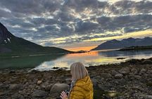 Tromso Midnight Sun Minibus: Fjords and wildlife