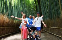 Kyoto Arashiyama Walking Tour with Bamboos Monkeys and Temple