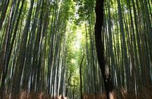 Kyoto: Arashiyama Bamboo Forest, Monkeys, Matcha & Temple Tour