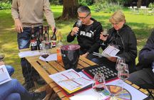 Fronton Small Group Wine Tour from Toulouse