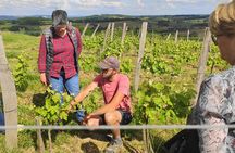 Fronton Small Group Wine Tour from Toulouse