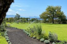 Superior Wine Tasting with Lunch on the slopes of Mt. Vesuvius