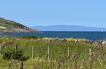 Giant's Causeway Coastal Guided Driving Tour