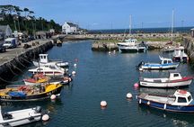 Giant's Causeway Coastal Guided Driving Tour