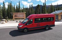 Denali in a Day – Full-Day Sightseeing Tour