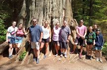 Stanley Park Highlights 3 Hour Walking Tour 