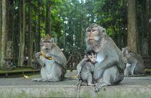 Private Tour of Bali’s Temples, Jungles & Hidden Gems