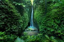 Private Tour of Bali’s Temples, Jungles & Hidden Gems