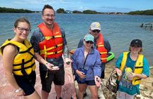 Sea Glass Island Tour By Boat
