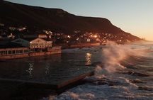 Cape Peninsula Drive with Lunch and Penguin Viewing