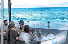 Cape Peninsula Drive with Lunch and Penguin Viewing