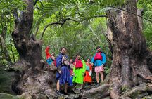 Iriomote’s Adventure: Pinaisara Falls Canoe and Trekking Tour