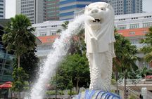 Singapore City Tour Cultural Discovery & Gardens by the Bay