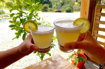 4-hour Chilean Cooking Class in Santiago