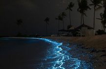 Bioluminescence Cocos Tours