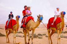 Private Desert Safari Dubai with BBQ Dinner upto 6 person