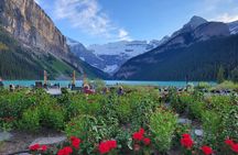 Lake Louise and Moraine Lake Full Day Tour