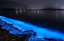 Bioluminescence Cocos Tours