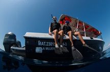 Cancun : Whale Shark snorkeling trip with Mujeres island, all inc