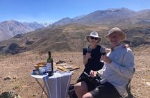 Andes Mountains Tour From Santiago with Appetizer