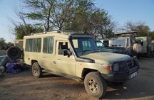 4 Days Serengeti, Ngorongoro, Tarangire Group + Airport pick up