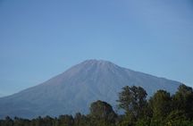 3 Days Ngorongoro, Manyara, Tarangire Group + Airport pick up